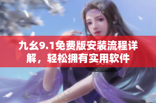 九幺9.1免费版安装流程详解，轻松拥有实用软件