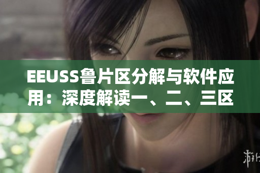 EEUSS鲁片区分解与软件应用：深度解读一、二、三区的技术特点