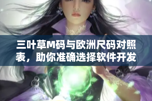 三叶草M码与欧洲尺码对照表，助你准确选择软件开发者服装