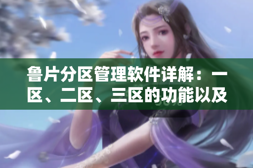 鲁片分区管理软件详解：一区、二区、三区的功能以及如何使用