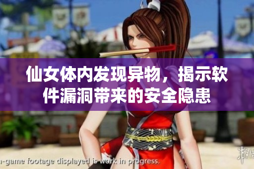 仙女体内发现异物，揭示软件漏洞带来的安全隐患