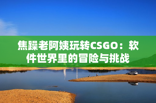 焦躁老阿姨玩转CSGO：软件世界里的冒险与挑战