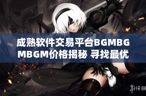 成熟软件交易平台BGMBGMBGM价格揭秘 寻找最优软件合作伙伴