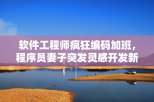 软件工程师疯狂编码加班，程序员妻子突发灵感开发新软件