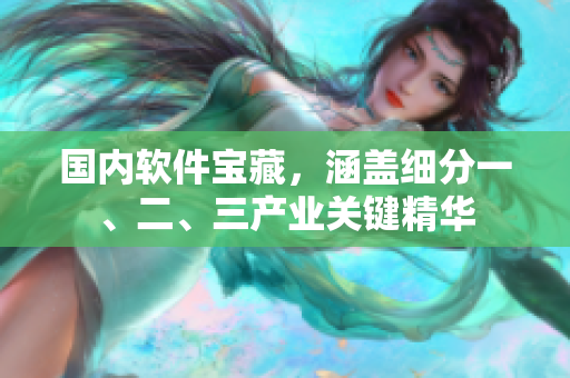 国内软件宝藏，涵盖细分一、二、三产业关键精华