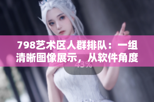 798艺术区人群排队：一组清晰图像展示，从软件角度解析