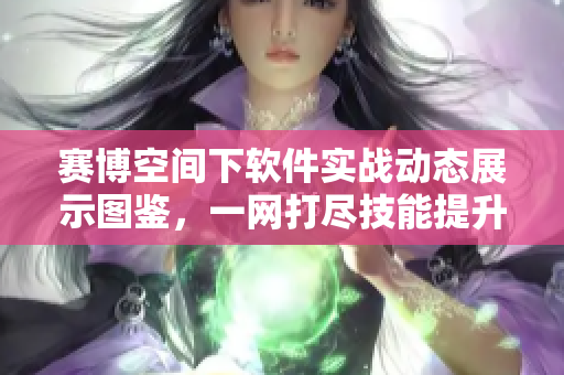 赛博空间下软件实战动态展示图鉴，一网打尽技能提升大法！