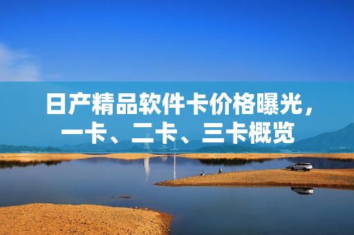 日产精品软件卡价格曝光，一卡、二卡、三卡概览