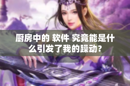 厨房中的 软件 究竟能是什么引发了我的躁动？