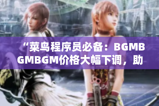 “菜鸟程序员必备：BGMBGMBGM价格大幅下调，助力软件开发”