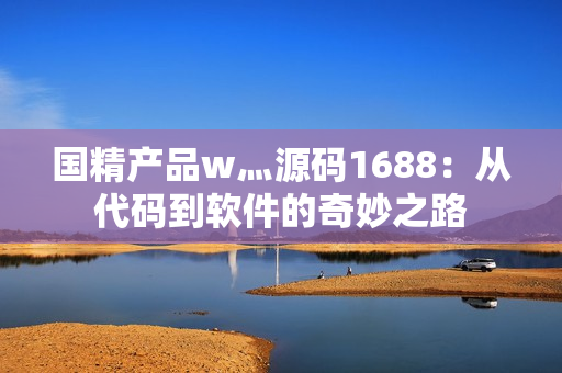 国精产品w灬源码1688：从代码到软件的奇妙之路