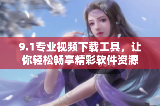 9.1专业视频下载工具，让你轻松畅享精彩软件资源