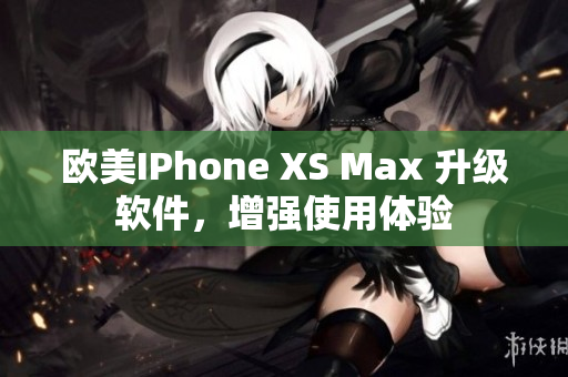 欧美IPhone XS Max 升级软件，增强使用体验