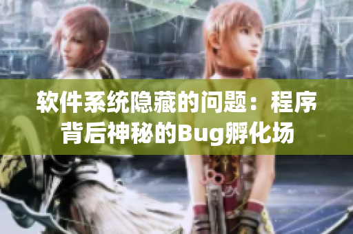 软件系统隐藏的问题：程序背后神秘的Bug孵化场