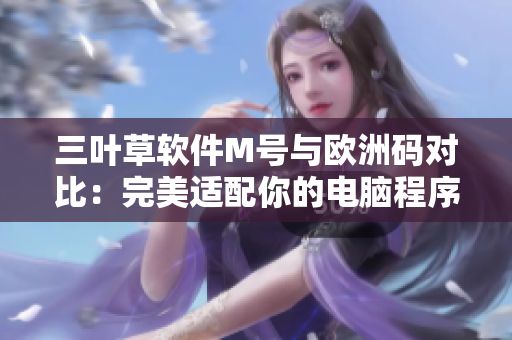 三叶草软件M号与欧洲码对比：完美适配你的电脑程序