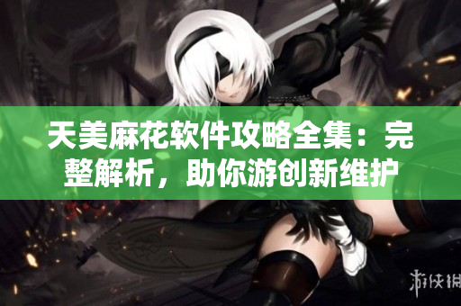 天美麻花软件攻略全集：完整解析，助你游创新维护