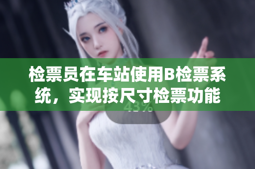 检票员在车站使用B检票系统，实现按尺寸检票功能