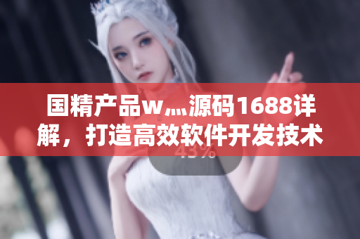 国精产品w灬源码1688详解，打造高效软件开发技术指南