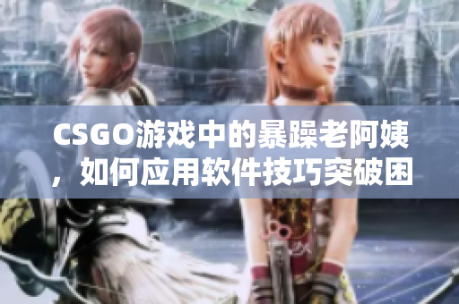 CSGO游戏中的暴躁老阿姨，如何应用软件技巧突破困境