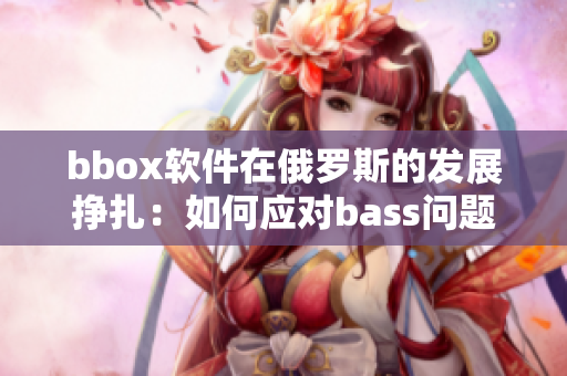 bbox软件在俄罗斯的发展挣扎：如何应对bass问题？