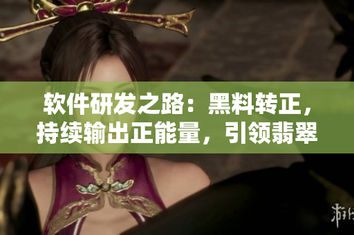 软件研发之路：黑料转正，持续输出正能量，引领翡翠手镯产业发展