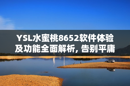 YSL水蜜桃8652软件体验及功能全面解析, 告别平庸, 享受创新