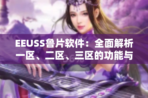 EEUSS鲁片软件：全面解析一区、二区、三区的功能与应用