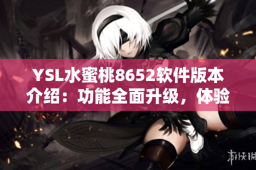 YSL水蜜桃8652软件版本介绍：功能全面升级，体验更加流畅
