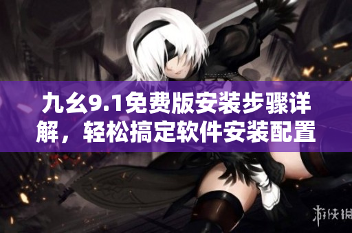 九幺9.1免费版安装步骤详解，轻松搞定软件安装配置