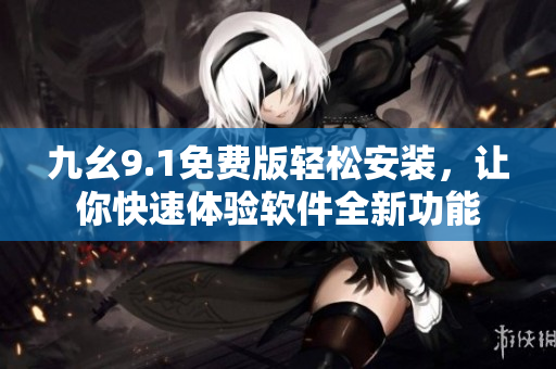 九幺9.1免费版轻松安装，让你快速体验软件全新功能