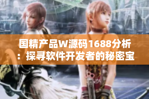 国精产品W源码1688分析：探寻软件开发者的秘密宝藏