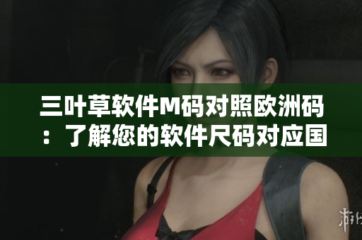 三叶草软件M码对照欧洲码：了解您的软件尺码对应国际标准