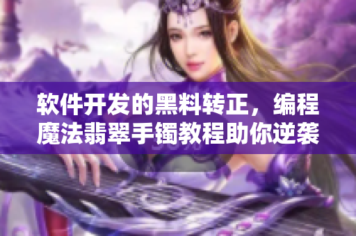 软件开发的黑料转正，编程魔法翡翠手镯教程助你逆袭成功路径永不失误
