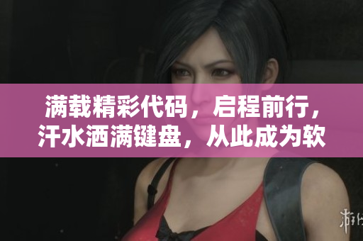 满载精彩代码，启程前行，汗水洒满键盘，从此成为软件界的大神。