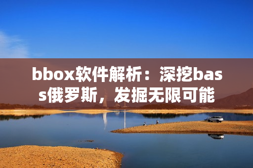 bbox软件解析：深挖bass俄罗斯，发掘无限可能