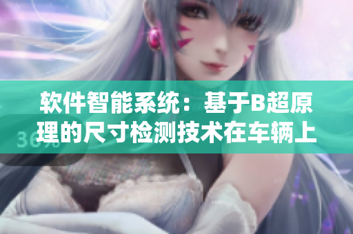 软件智能系统：基于B超原理的尺寸检测技术在车辆上线验证