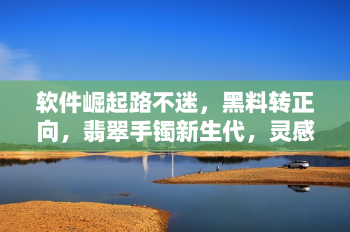 软件崛起路不迷，黑料转正向，翡翠手镯新生代，灵感涌动展抱负