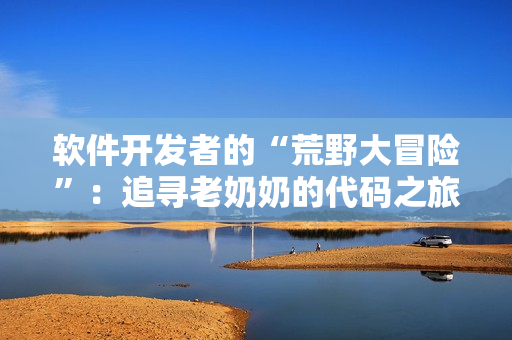 软件开发者的“荒野大冒险”：追寻老奶奶的代码之旅