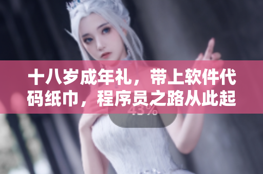 十八岁成年礼，带上软件代码纸巾，程序员之路从此起航