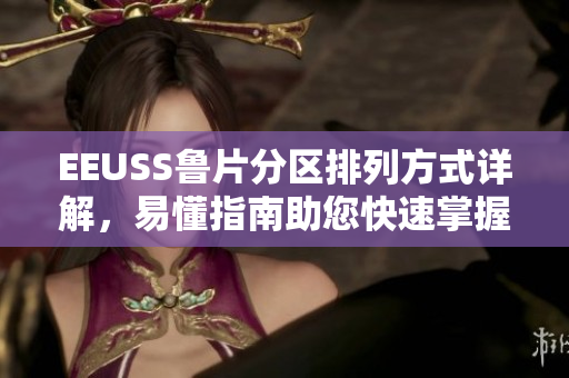EEUSS鲁片分区排列方式详解，易懂指南助您快速掌握软件定位