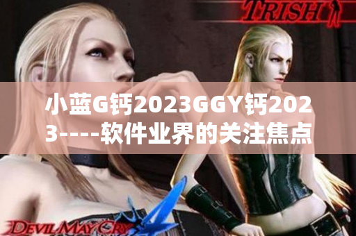 小蓝G钙2023GGY钙2023----软件业界的关注焦点