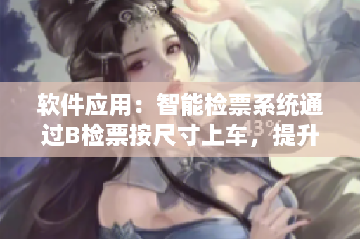 软件应用：智能检票系统通过B检票按尺寸上车，提升乘客体验