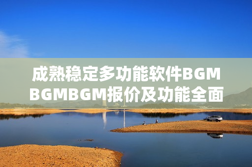 成熟稳定多功能软件BGMBGMBGM报价及功能全面解析
