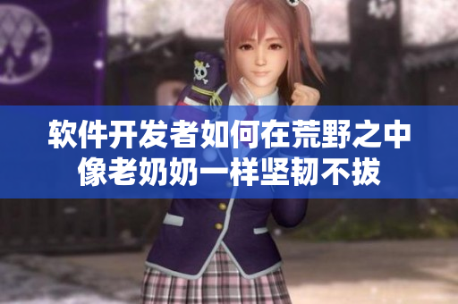 软件开发者如何在荒野之中像老奶奶一样坚韧不拔