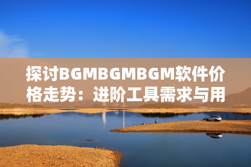 探讨BGMBGMBGM软件价格走势：进阶工具需求与用户选择的关系
