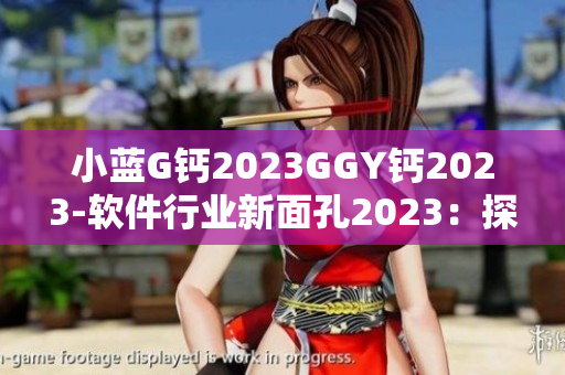 小蓝G钙2023GGY钙2023-软件行业新面孔2023：探寻革新之路