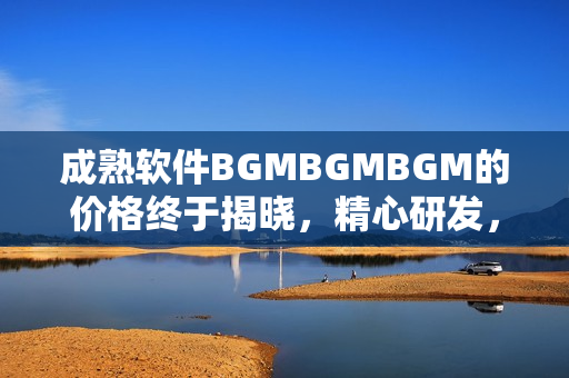 成熟软件BGMBGMBGM的价格终于揭晓，精心研发，超值推荐！
