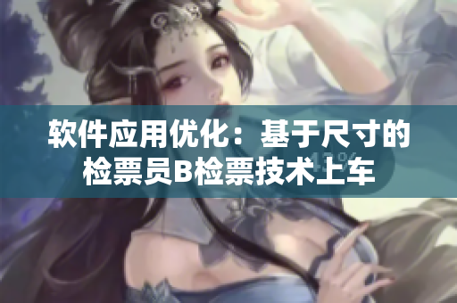 软件应用优化：基于尺寸的检票员B检票技术上车