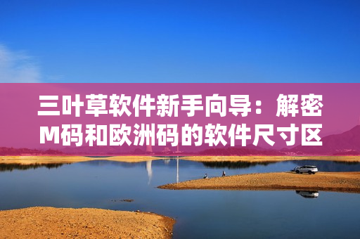 三叶草软件新手向导：解密M码和欧洲码的软件尺寸区别