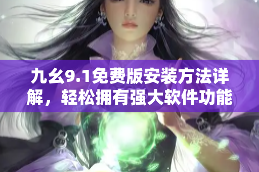 九幺9.1免费版安装方法详解，轻松拥有强大软件功能
